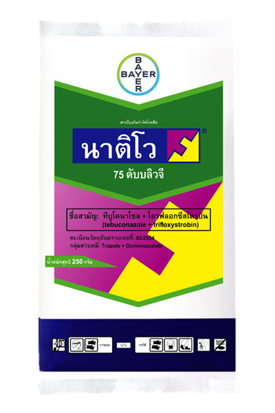 นาติโว15G*540