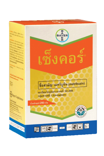 เซ็งคอร์100G70WP*300