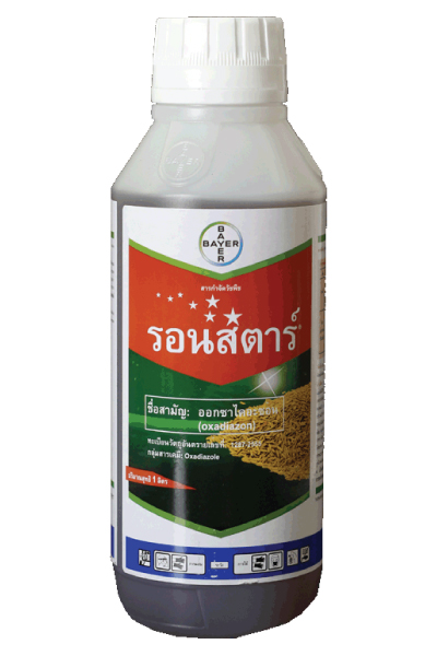 รอนสตาร์1L*12