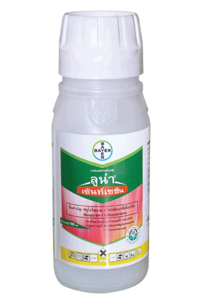 ลูน่า เซ้นท์เซชั่น100CC*50