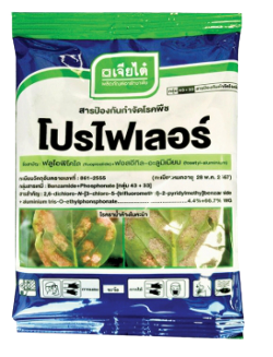 โปรไฟเลอร์ 100G*100