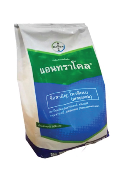 แอนทราโคล1KG*12