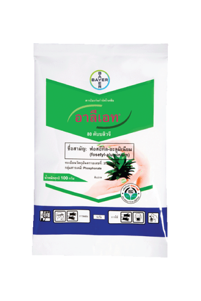 อาลีเอท100G*100