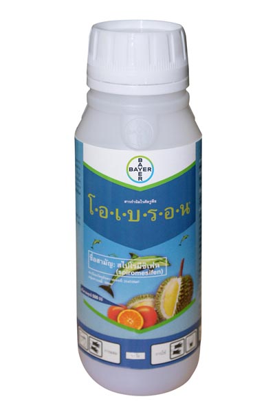 โอเบรอน500CC*20