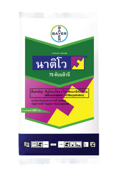 นาติโว250G*24