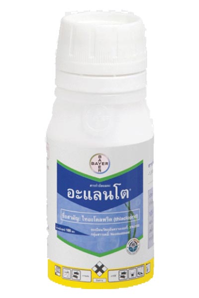 อะแลนโต100CC*50