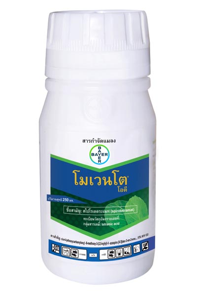 โมเวนโตโอดี250CC*20