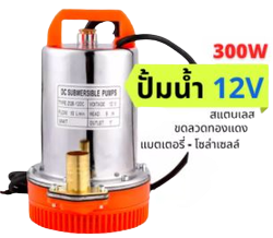 ป.จุ่มDC 300W ZQB-12V