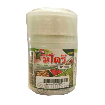 มิโดริ 500CC*24