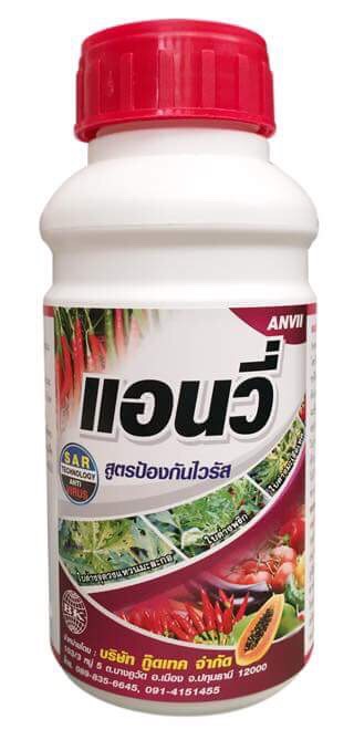 แอนวี่1L*12