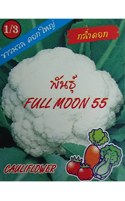กะหล่ำดอกFULL MOON55 333
