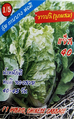 ขาวปลีแจ็ส40333