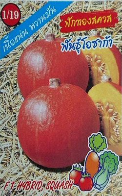 ฟักทองสควสโอซาก้า333