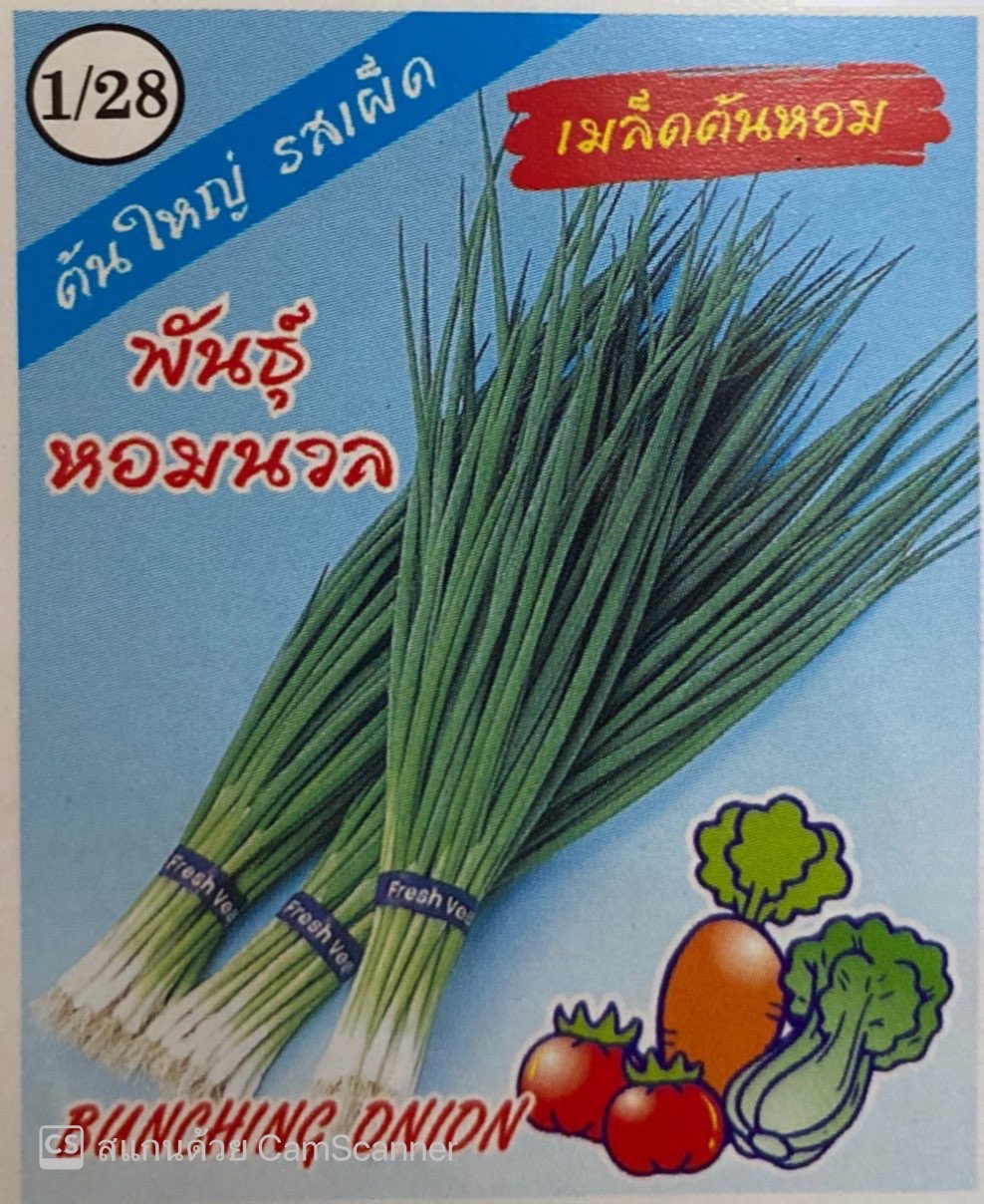 หอมหอมนวล333