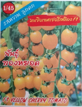 มะเขือเหลืองทองหยอด333