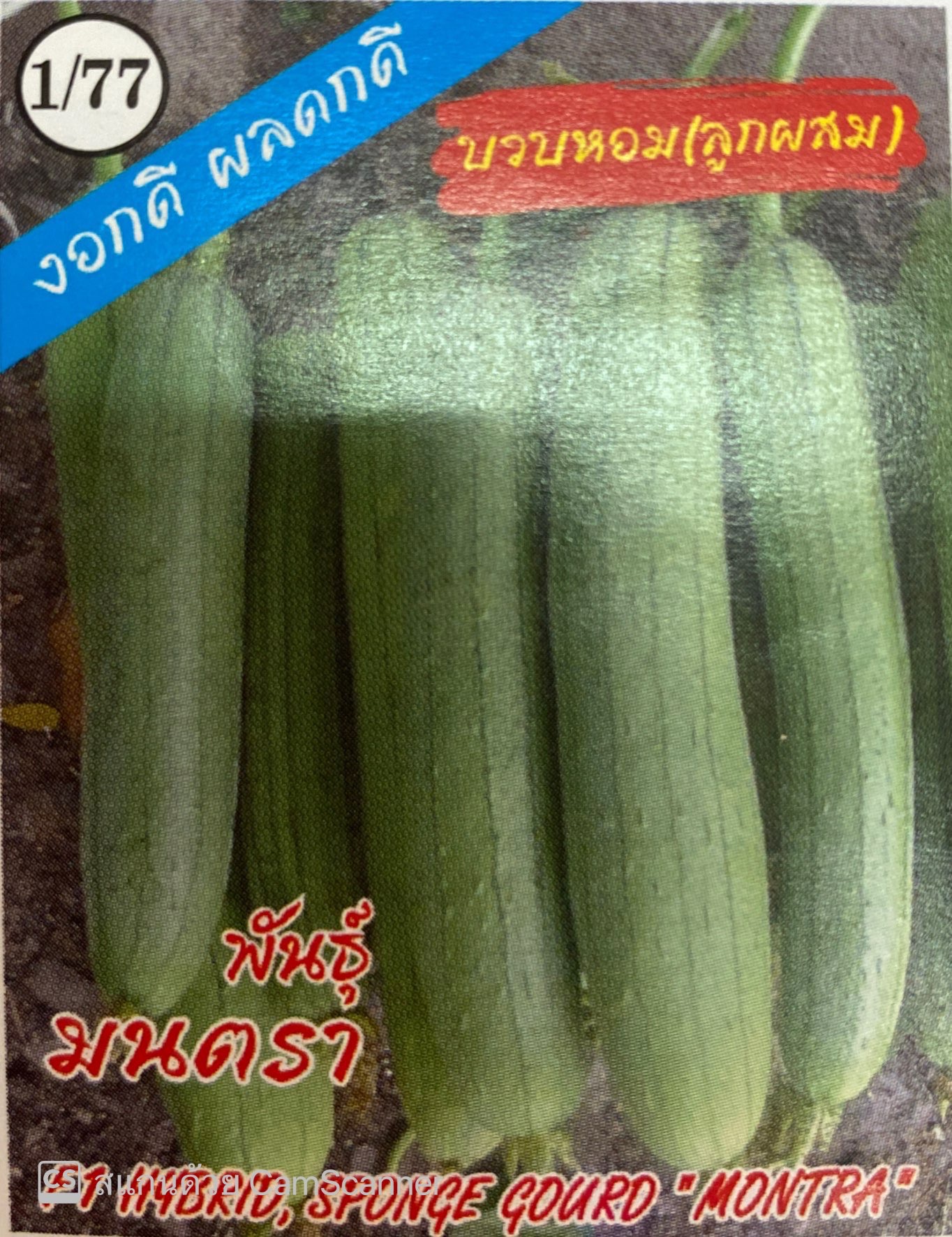 บวบหอมมนตรา333