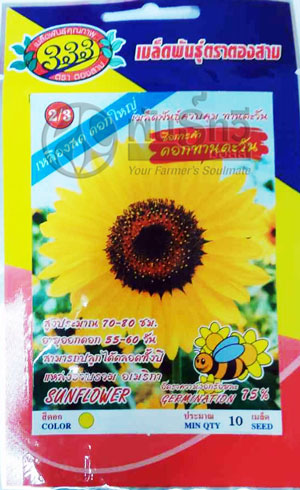 ดอกทานตะวัน333