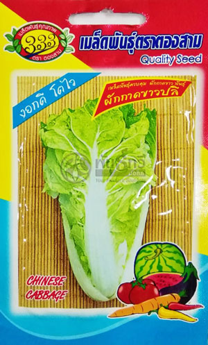 ขาวปลีผักกาด333