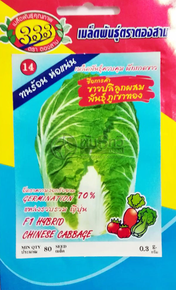 ขาวปลีภูเขาทอง333