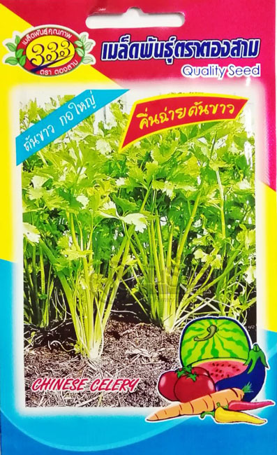 ขึ้นฉ่ายคึ่นฉ่ายต้นขาว333