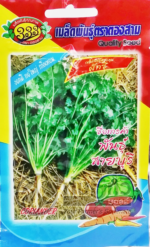 ผักชีจีนสายบุรี333F