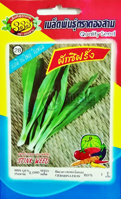 ผักชีฝรั่ง333F