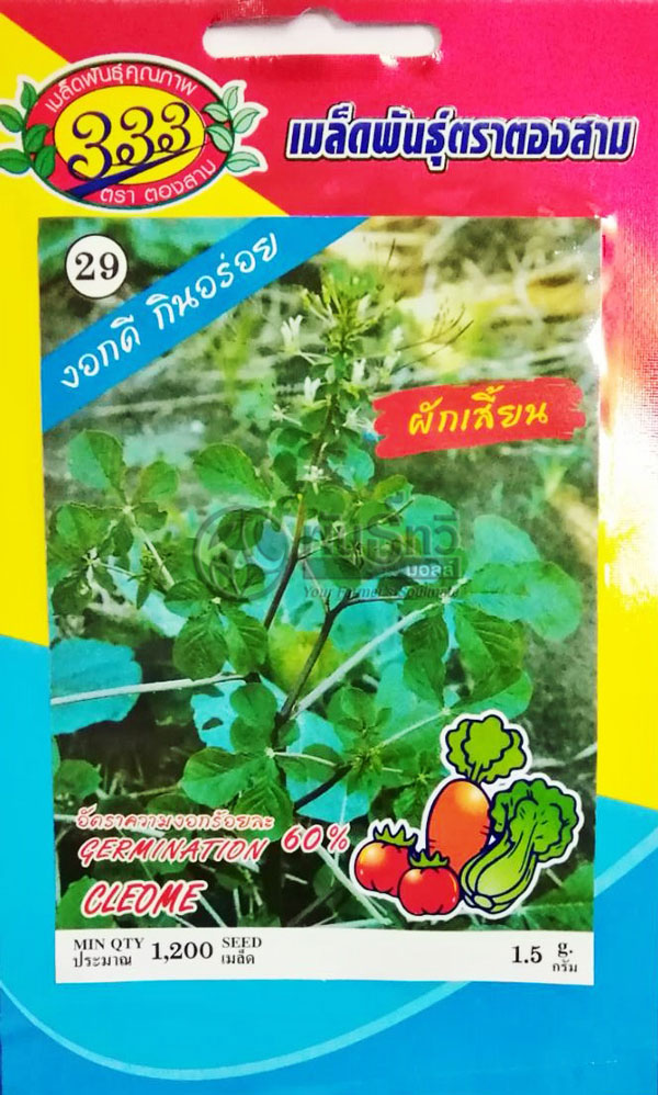 ผักเสี้ยน333