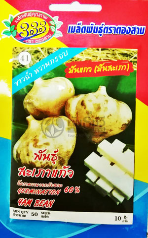 มันแกว333