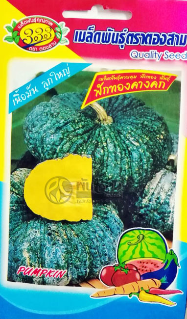 ฟักทองคางคก333