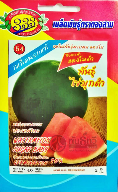 แตงโมดำไข่มุกดำ333