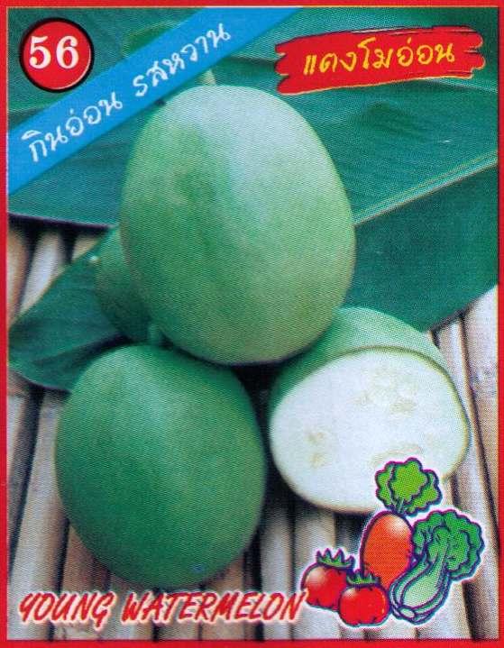 แตงโมอ่อน333