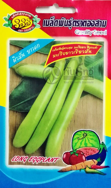 มะเขือยาวเขียวมัน333