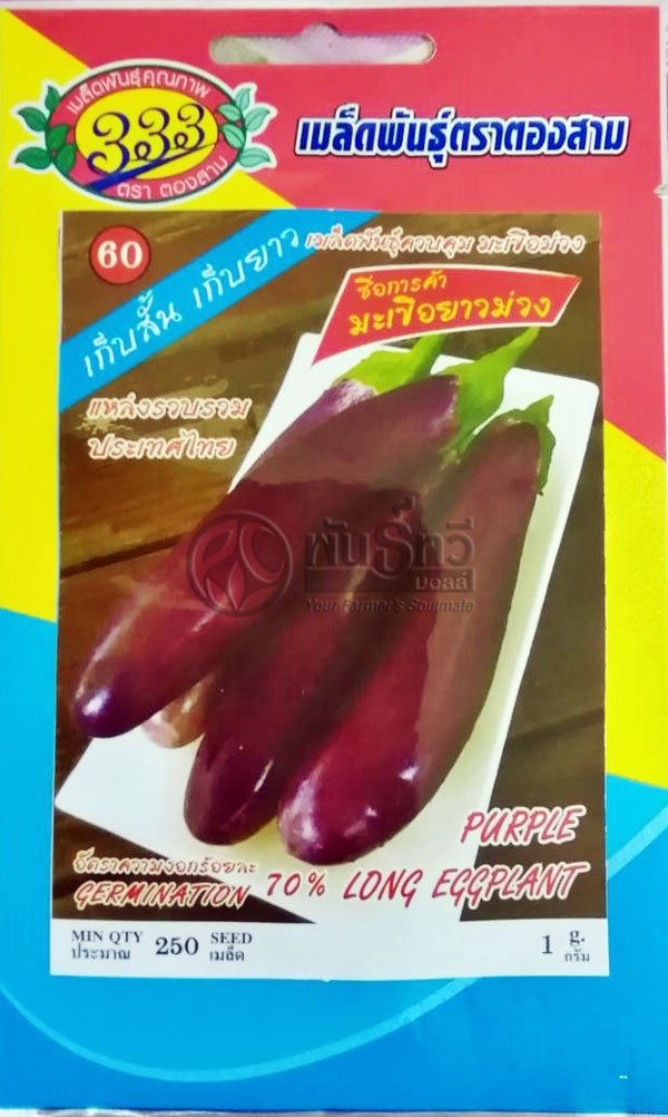 มะเขือยาวม่วง333