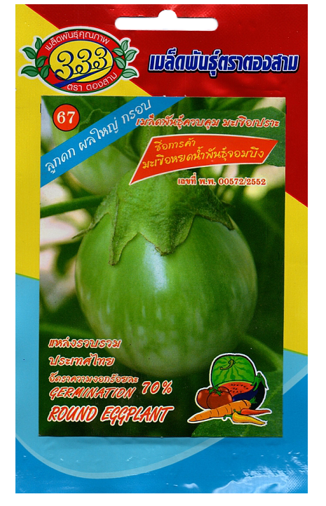 มะเขือหยดน้ำจอมบึง333