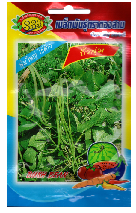 ถั่วพุ่มไร้ค้าง333