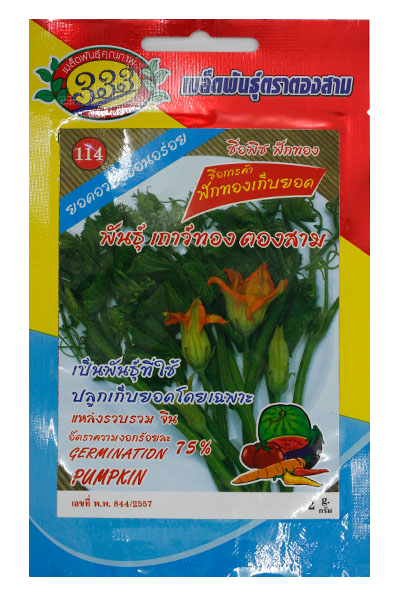 ฟักทองเถาว์ทอง333