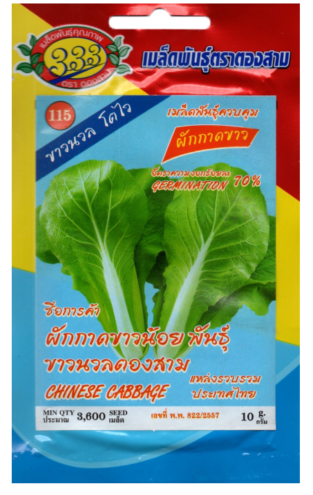 ขาวปลีขาวนวลผักกาดน้อย333