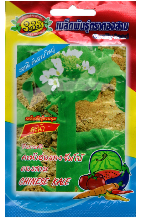 คะน้าฮ่องกงจัมโบ้333