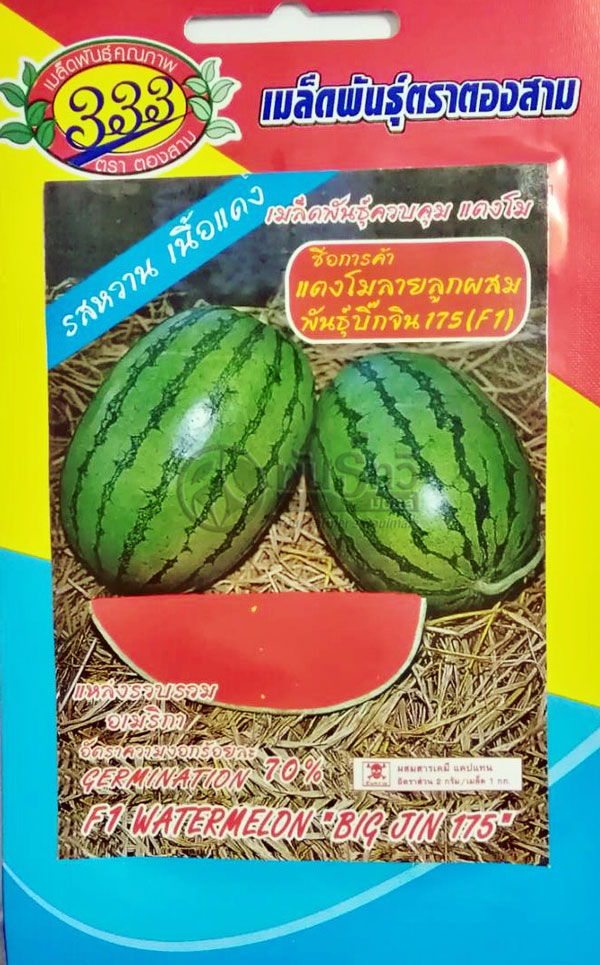 แตงโมบิ๊กจิน175F1333