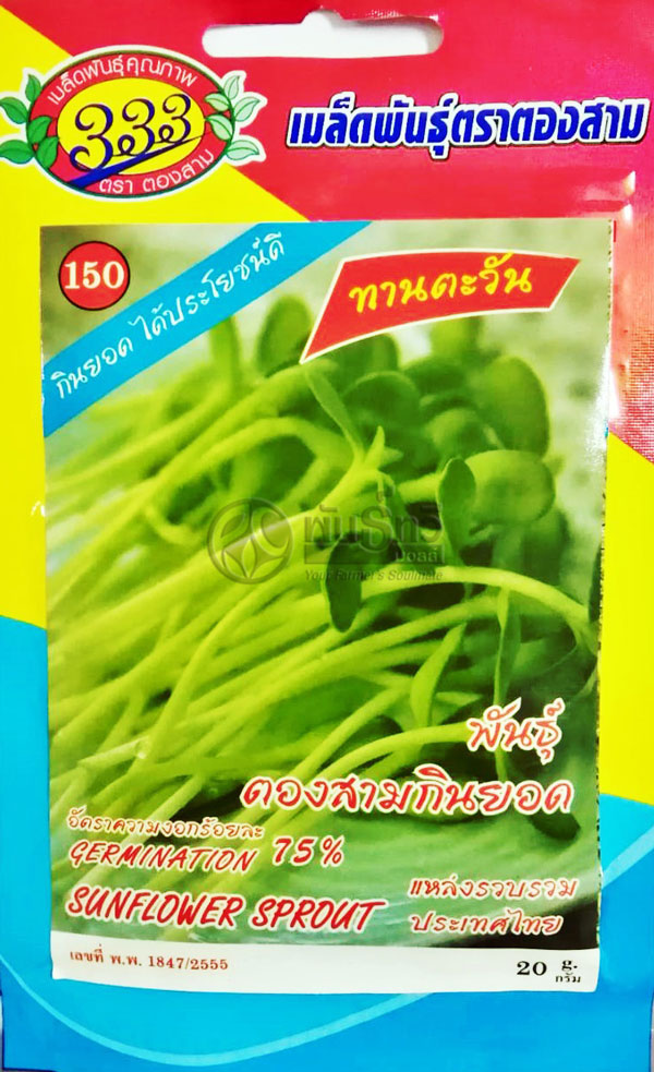 ต้นอ่อนตองสามกินยอดทานตะวัน333