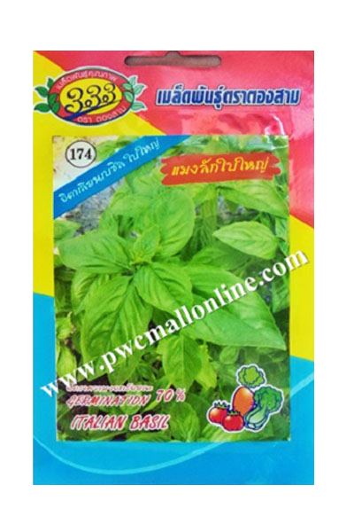 แมงลักใบใหญ่333