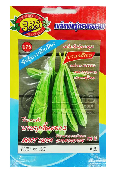 บวบเหลี่ยมลูกสั้น333