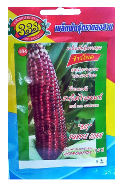 ขพขน.แบล็คไจแอนท์333