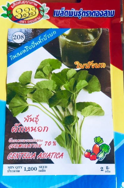 ผักหนอกใบบัวบก333