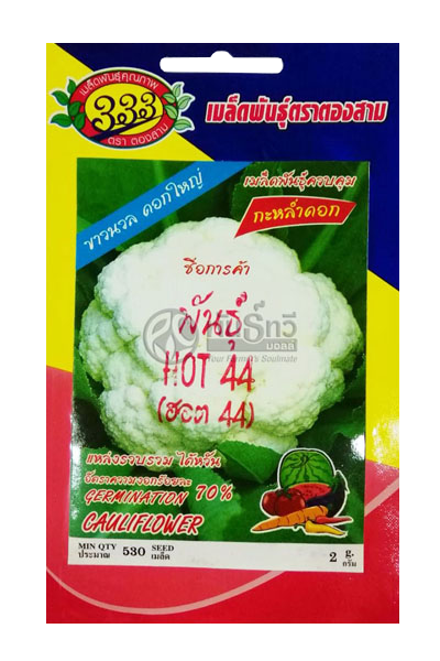 กะหล่ำดอกHOT44 333