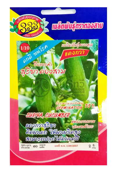 แตงกวาสุริยา333