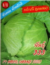 กะหล่ำปลีกล่ำปลีF1333