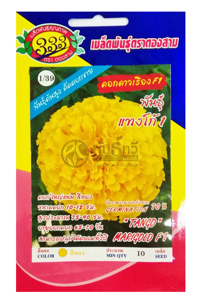 ดอกดาวเรืองแทงโก้1F1 333