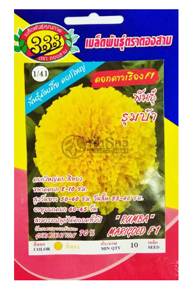 ดอกดาวเรืองรุมบ้าF1333