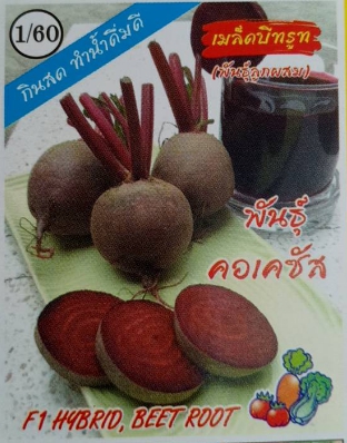 บีทรูทคอเคซัส333